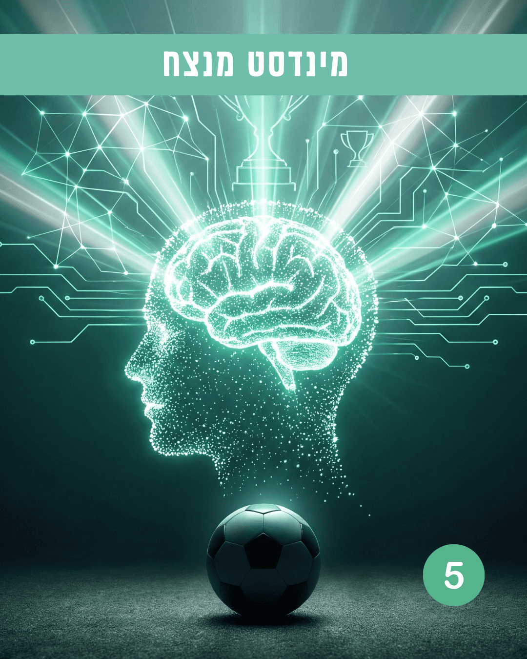 שלב 5 באקדמיה